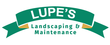 Lupe’s Landscaping & Maintenance