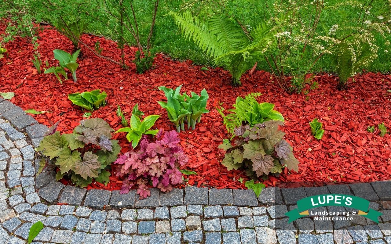 Mulched flower bed with stone edging and fall flowers