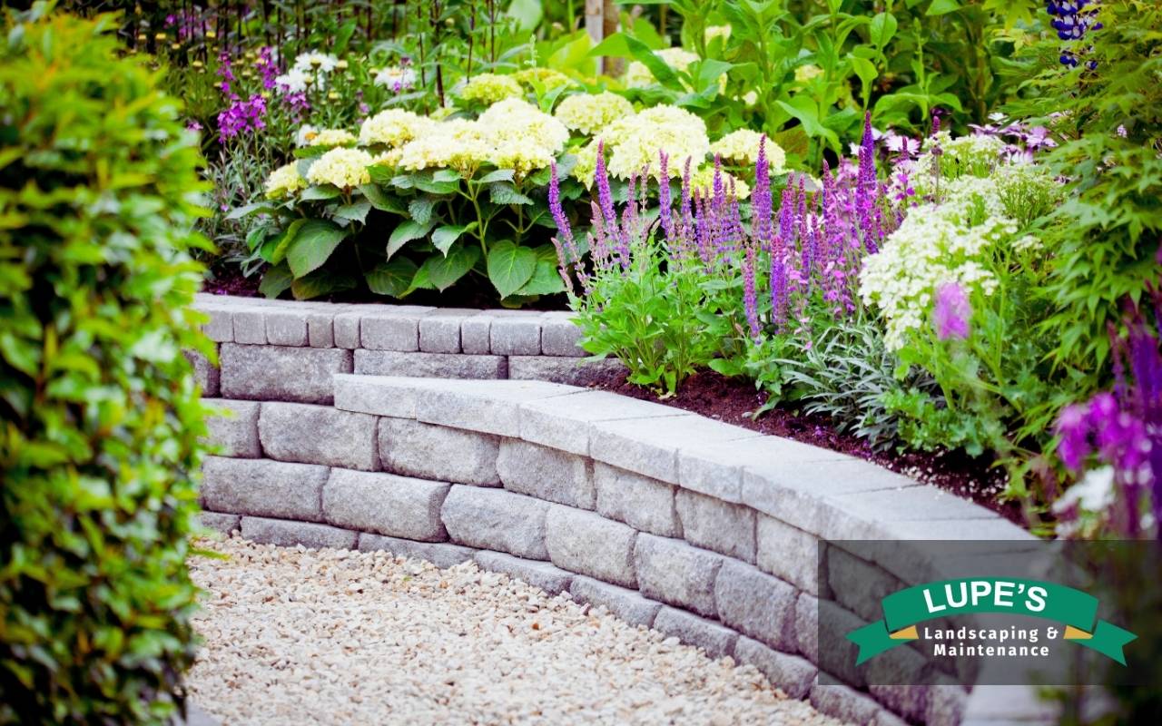 Local wildlife friendly landscaping garden with native plants and pollinators