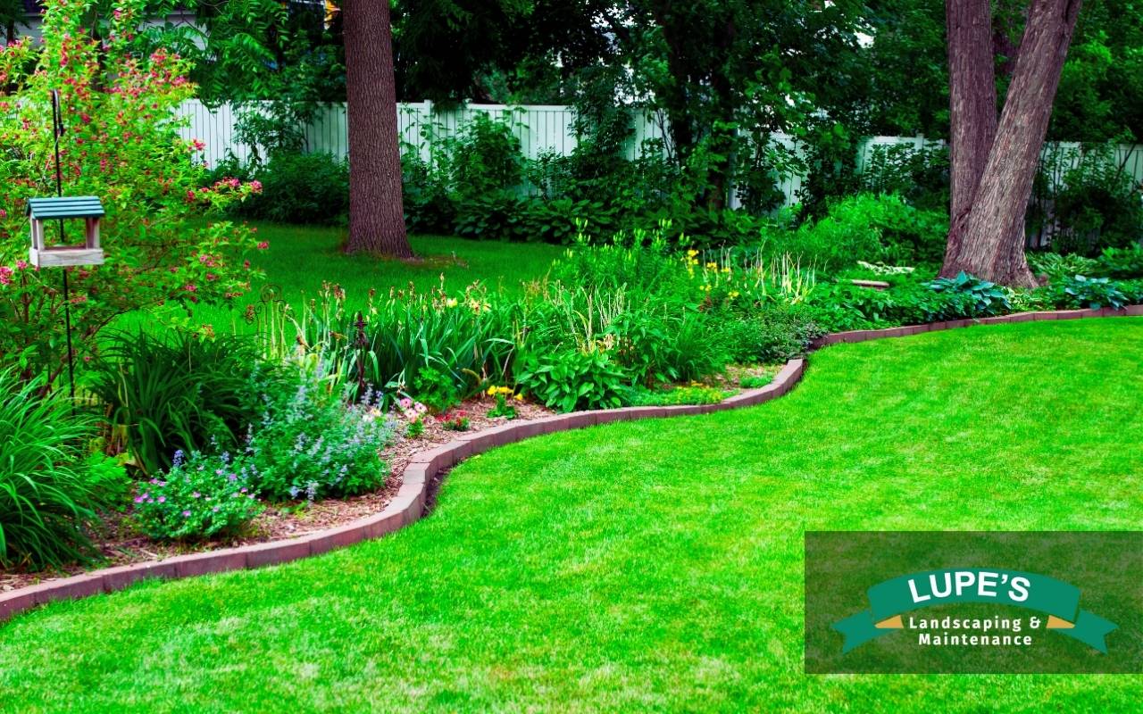 Native biodiversity backyard benefits with flowering plants and pollinators