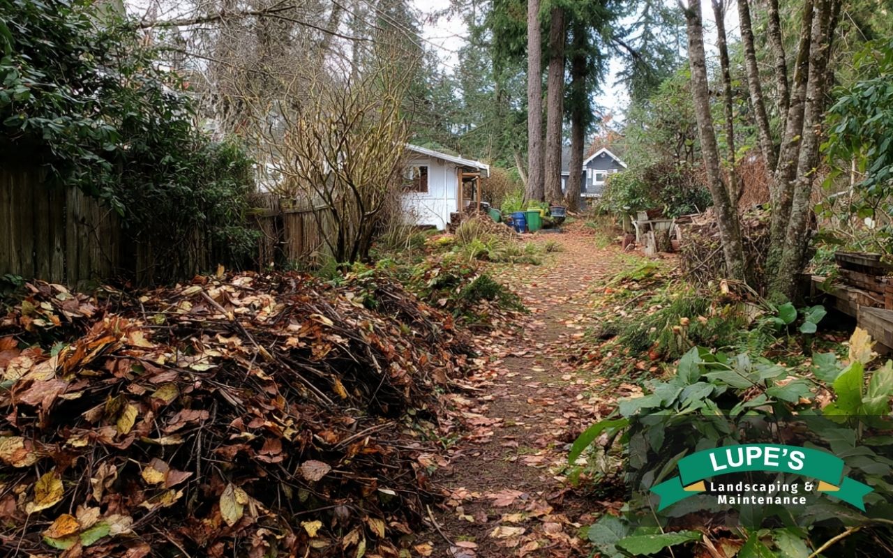 Winter yard cleanup in Bainbridge Island with leaf piles removed and paths cleared
